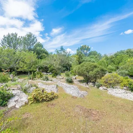 Company Villa